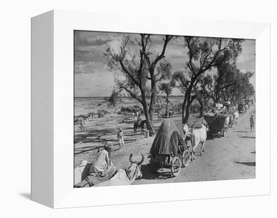 Convoy of Sikhs Migrating to East Punjab After the Division of India-Margaret Bourke-White-Framed Premier Image Canvas