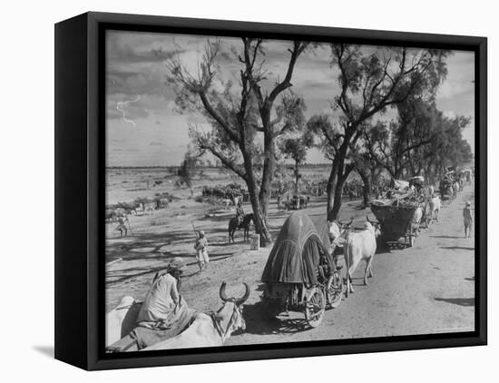 Convoy of Sikhs Migrating to East Punjab After the Division of India-Margaret Bourke-White-Framed Premier Image Canvas