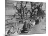 Convoy of Sikhs Migrating to East Punjab After the Division of India-Margaret Bourke-White-Mounted Premium Photographic Print