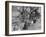 Convoy of Sikhs Migrating to East Punjab After the Division of India-Margaret Bourke-White-Framed Photographic Print