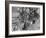 Convoy of Sikhs Migrating to East Punjab After the Division of India-Margaret Bourke-White-Framed Photographic Print