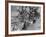 Convoy of Sikhs Migrating to East Punjab After the Division of India-Margaret Bourke-White-Framed Photographic Print