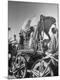 Photographic Print