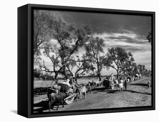 Convoy of Sikhs Migrating to East Punjab after the Division of India-null-Framed Premier Image Canvas