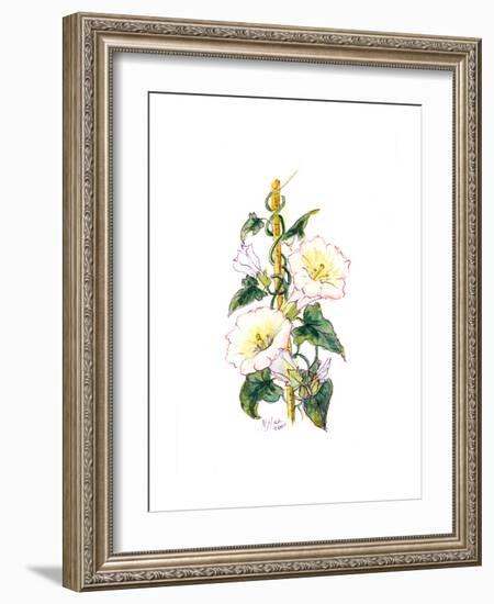 Convulvulous, 2001-Nell Hill-Framed Giclee Print