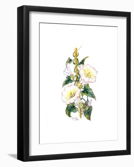 Convulvulous, 2001-Nell Hill-Framed Giclee Print