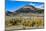 Conway Pass, HWY 395. USA, Lee Vining, California-Joe Restuccia III-Mounted Photographic Print