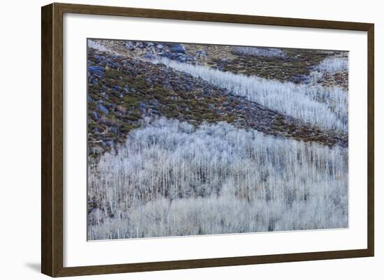 Conway Summit Along Highway 395 In The Eastern Sierras Northern California Near Mono Lake-Jay Goodrich-Framed Photographic Print