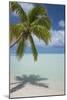 Cook Islands, Aitutaki. One Foot Island. White Sand Beach with Trees-Cindy Miller Hopkins-Mounted Photographic Print