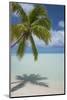 Cook Islands, Aitutaki. One Foot Island. White Sand Beach with Trees-Cindy Miller Hopkins-Mounted Photographic Print