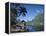 Cook's Bay, Moorea, French Polynesia, South Pacific, Tahiti-Steve Vidler-Framed Premier Image Canvas