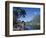 Cook's Bay, Moorea, French Polynesia, South Pacific, Tahiti-Steve Vidler-Framed Photographic Print