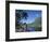 Cook's Bay, Moorea, French Polynesia, South Pacific, Tahiti-Steve Vidler-Framed Photographic Print