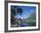 Cook's Bay, Moorea, French Polynesia, South Pacific, Tahiti-Steve Vidler-Framed Photographic Print