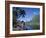 Cook's Bay, Moorea, French Polynesia, South Pacific, Tahiti-Steve Vidler-Framed Photographic Print