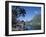 Cook's Bay, Moorea, French Polynesia, South Pacific, Tahiti-Steve Vidler-Framed Photographic Print