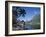 Cook's Bay, Moorea, French Polynesia, South Pacific, Tahiti-Steve Vidler-Framed Photographic Print