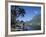 Cook's Bay, Moorea, French Polynesia, South Pacific, Tahiti-Steve Vidler-Framed Photographic Print