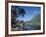 Cook's Bay, Moorea, French Polynesia, South Pacific, Tahiti-Steve Vidler-Framed Photographic Print