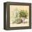 Cook's Garden-Angela Staehling-Framed Stretched Canvas