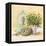 Cook's Garden-Angela Staehling-Framed Stretched Canvas