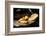 Cooked Bhature and Samosas, Sector 7, Chandigarh, Punjab and Haryana Provinces, India-Ben Pipe-Framed Photographic Print