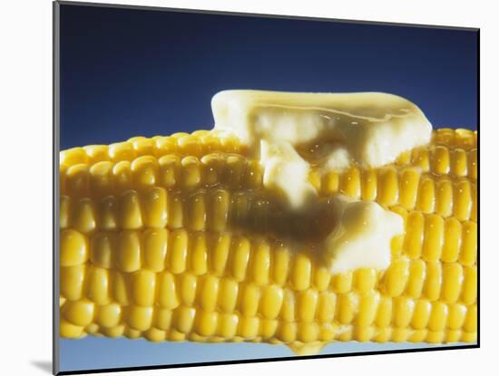Cooked Corn on the Cob with Melting Butter-Ludger Rose-Mounted Photographic Print