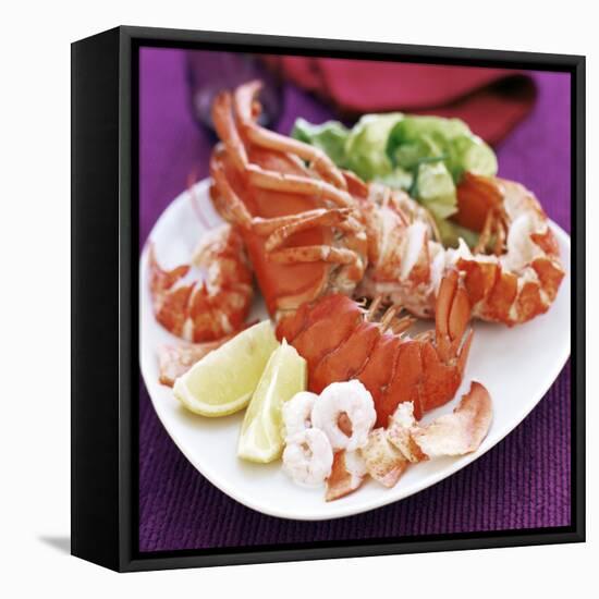 Cooked Lobster-David Munns-Framed Premier Image Canvas