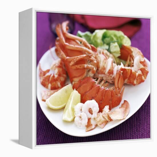 Cooked Lobster-David Munns-Framed Premier Image Canvas