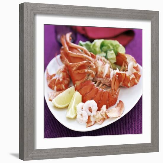 Cooked Lobster-David Munns-Framed Premium Photographic Print