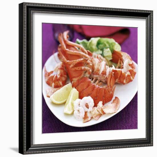 Cooked Lobster-David Munns-Framed Premium Photographic Print