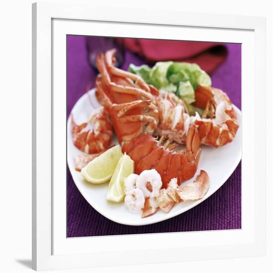 Cooked Lobster-David Munns-Framed Photographic Print