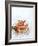 Cooked Prawns in a Bowl on Crushed Ice-null-Framed Photographic Print