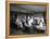 Cooking Class, Seattle, 1909-Ashael Curtis-Framed Premier Image Canvas