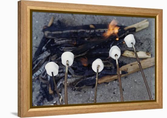Cooking Marshmallows over Campfire-William P. Gottlieb-Framed Premier Image Canvas