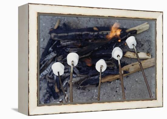 Cooking Marshmallows over Campfire-William P. Gottlieb-Framed Premier Image Canvas