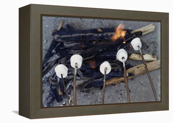 Cooking Marshmallows over Campfire-William P. Gottlieb-Framed Premier Image Canvas