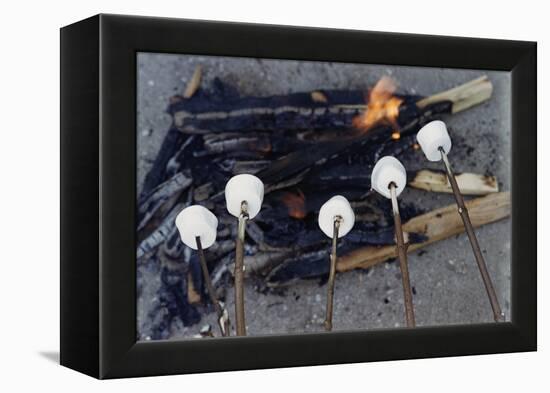 Cooking Marshmallows over Campfire-William P. Gottlieb-Framed Premier Image Canvas