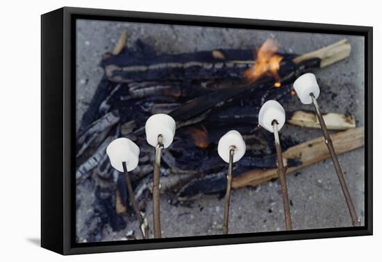 Cooking Marshmallows over Campfire-William P. Gottlieb-Framed Premier Image Canvas