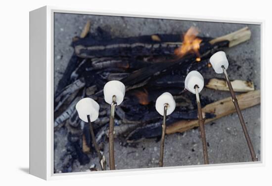 Cooking Marshmallows over Campfire-William P. Gottlieb-Framed Premier Image Canvas