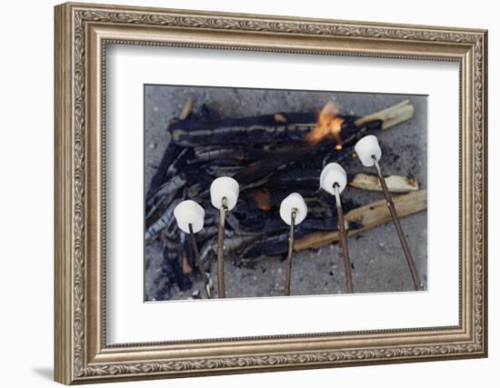 Cooking Marshmallows over Campfire-William P. Gottlieb-Framed Photographic Print