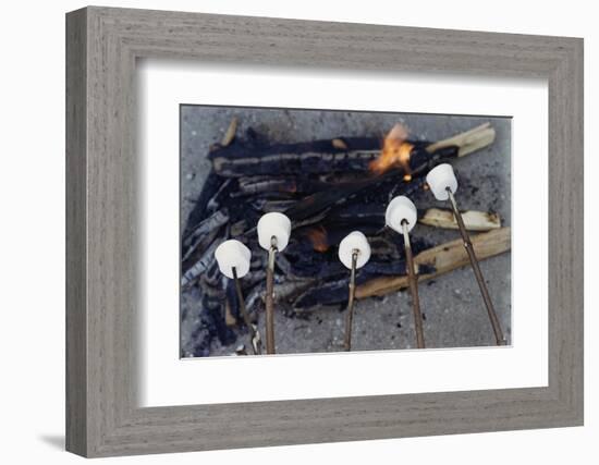 Cooking Marshmallows over Campfire-William P. Gottlieb-Framed Photographic Print