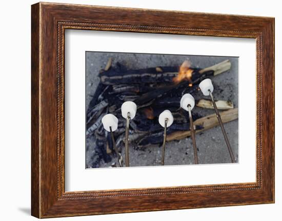 Cooking Marshmallows over Campfire-William P. Gottlieb-Framed Photographic Print