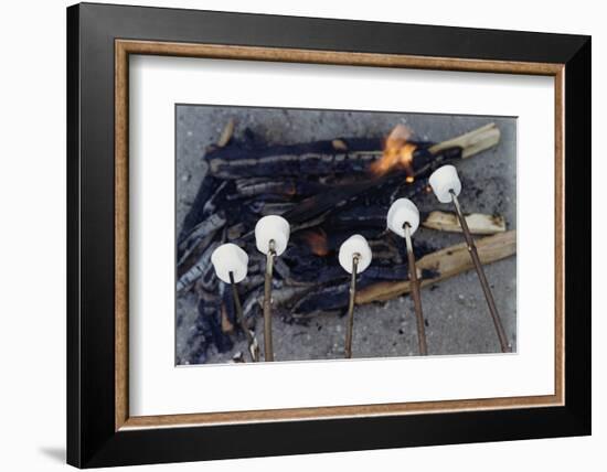 Cooking Marshmallows over Campfire-William P. Gottlieb-Framed Photographic Print