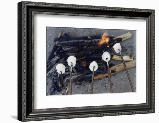 Cooking Marshmallows over Campfire-William P. Gottlieb-Framed Photographic Print