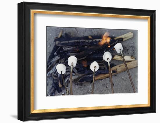 Cooking Marshmallows over Campfire-William P. Gottlieb-Framed Photographic Print