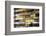 Cooking Oils-Charles Bowman-Framed Photographic Print