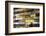 Cooking Oils-Charles Bowman-Framed Photographic Print