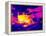 Cooking on a Gas Stove, Thermogram-Tony McConnell-Framed Premier Image Canvas