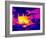 Cooking on a Gas Stove, Thermogram-Tony McConnell-Framed Photographic Print